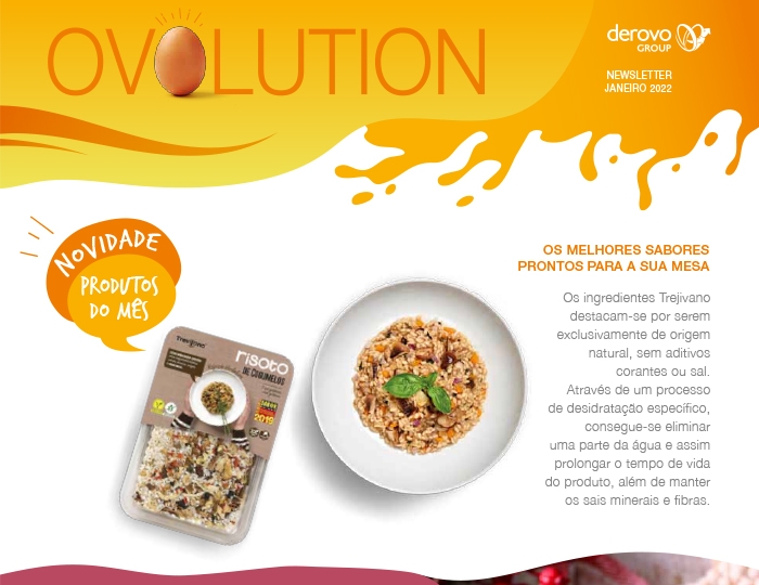 newsletter derovo
