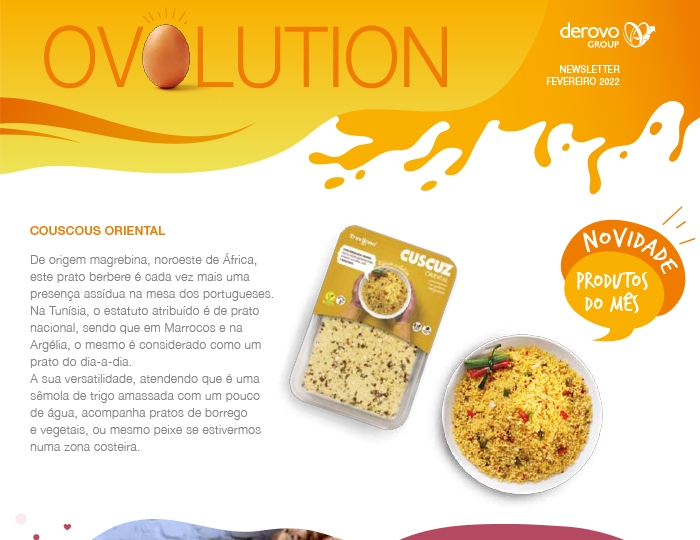 newsletter derovo