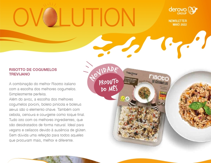 newsletter derovo
